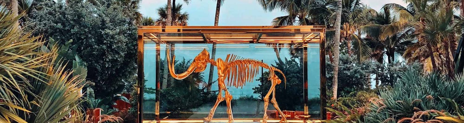 faena-1